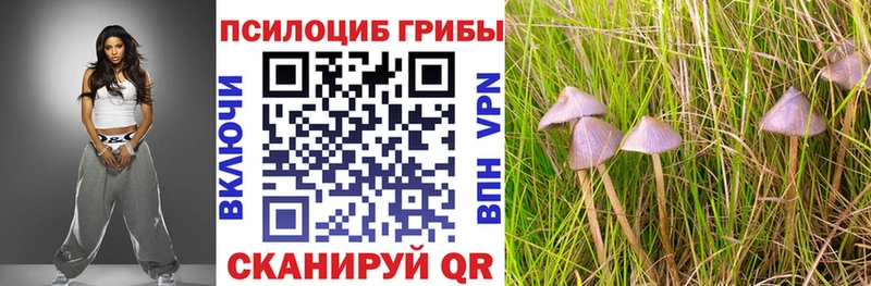 Галлюциногенные грибы мицелий  Пушкино 